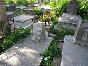 CIMETIERE DE TAMAZOUHET D ORAN EN MARS 2012  (71)